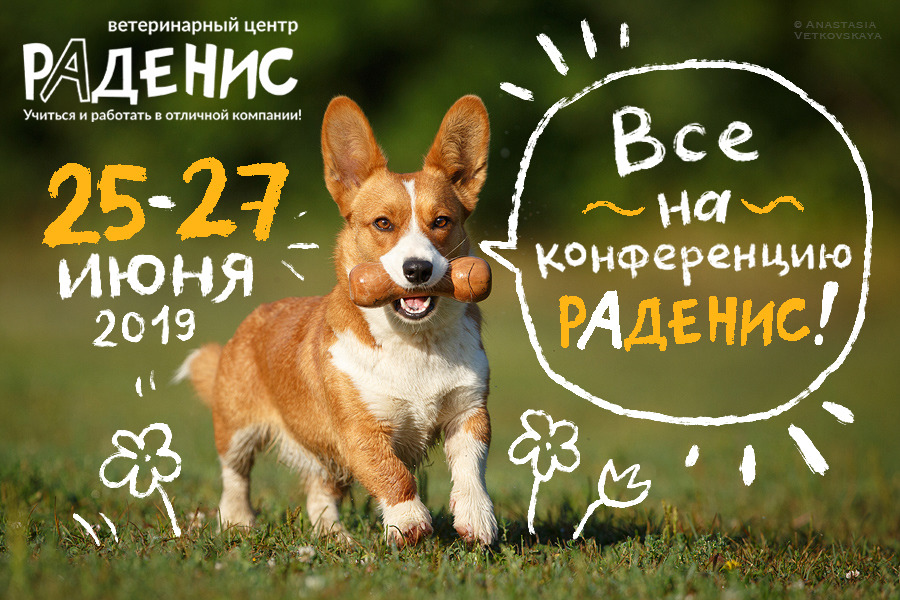 VII Открытая конференция ветеринарного центра Раденис 24-28 июня 2019 г 